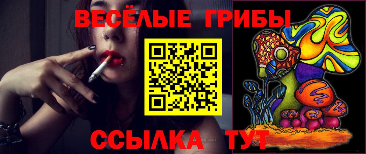 Псилоцибиновые грибы ЛСД Кириши