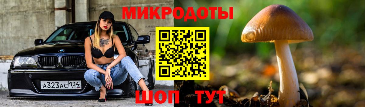 Псилоцибиновые грибы мицелий  Псилоцибиновые грибы Psilocybe  Вход с VPN  Кириши 