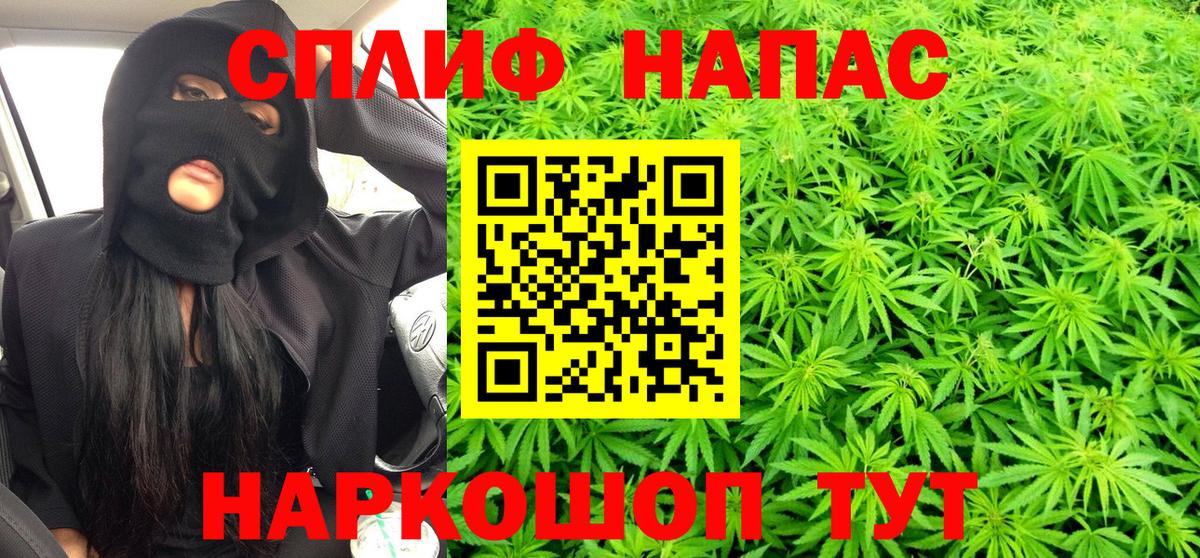 Конопля ГИДРОПОН  Вход с VPN  Бошки марихуана THC 21%  Каннабис индика  Кириши 